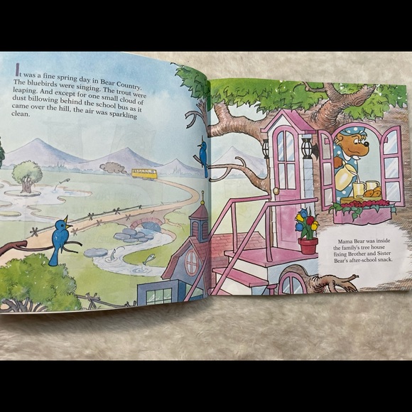 Berenstain Bears Too Much Trouble Book - Picture 5 of 8